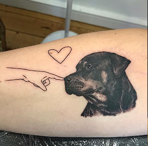 Affectionate Rottweiler Tattoo