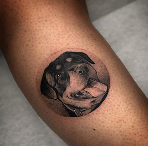 Dotwork Rottweiler Tattoo