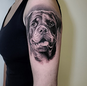 Shoulder Rottweiler Tattoo