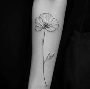 1_Single_Line_Poppy_Flower_Tattoo_On_The_Forearm